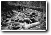 Japanese Aerial Bombs, Manus Island